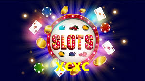 Live Casino xcxc